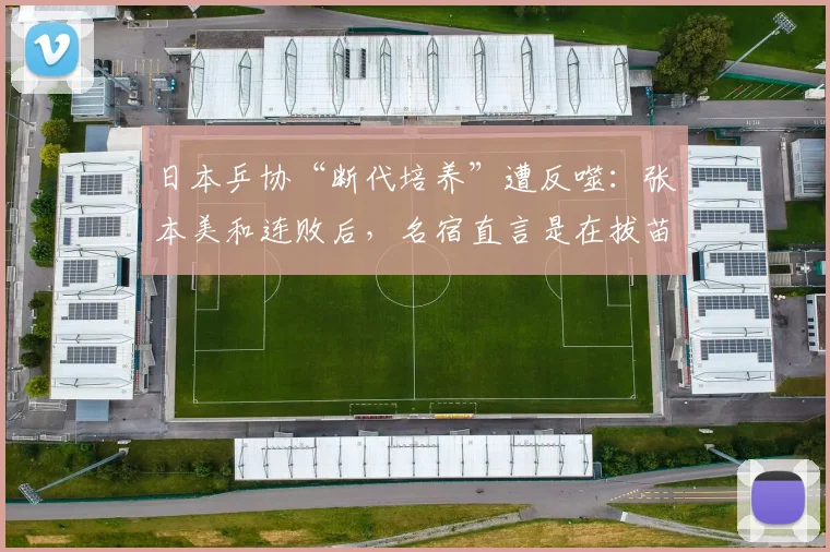 日本乒协“断代培养”遭反噬：张本美和连败后，名宿直言是在拔苗助长